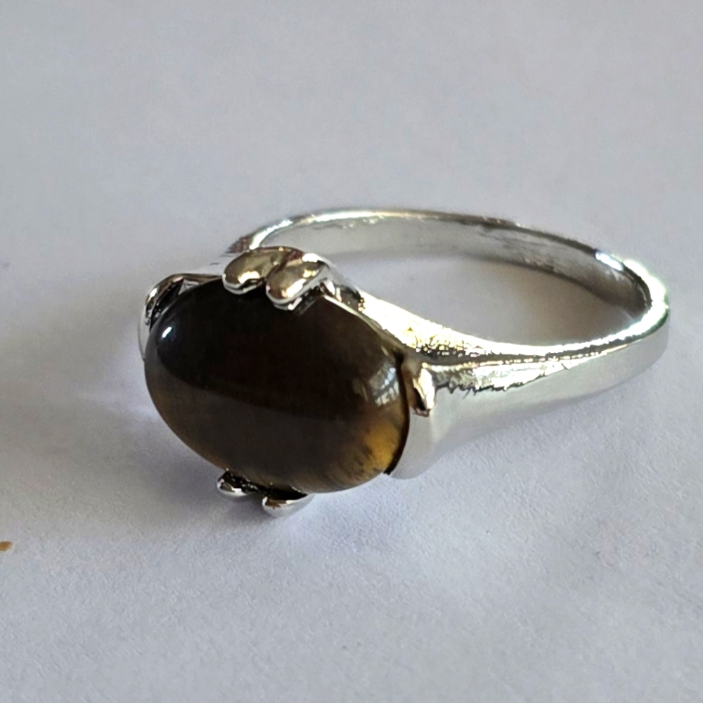 TIGEREYE ELEGANT POLISHED NEW SIZE 9 TITANIUM FOREVER WEAR SILVER RING